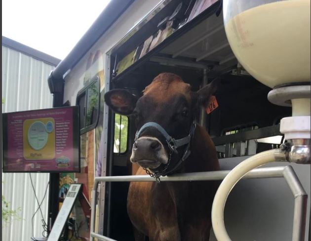 Teachers Headed back to School don’t forget to request your Mobile Dairy Classroom Visit