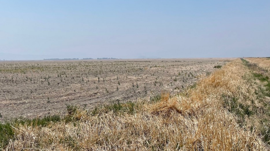 Farm Bureau Reports Drought in Western States Hitting Farmers and Ranchers Hard