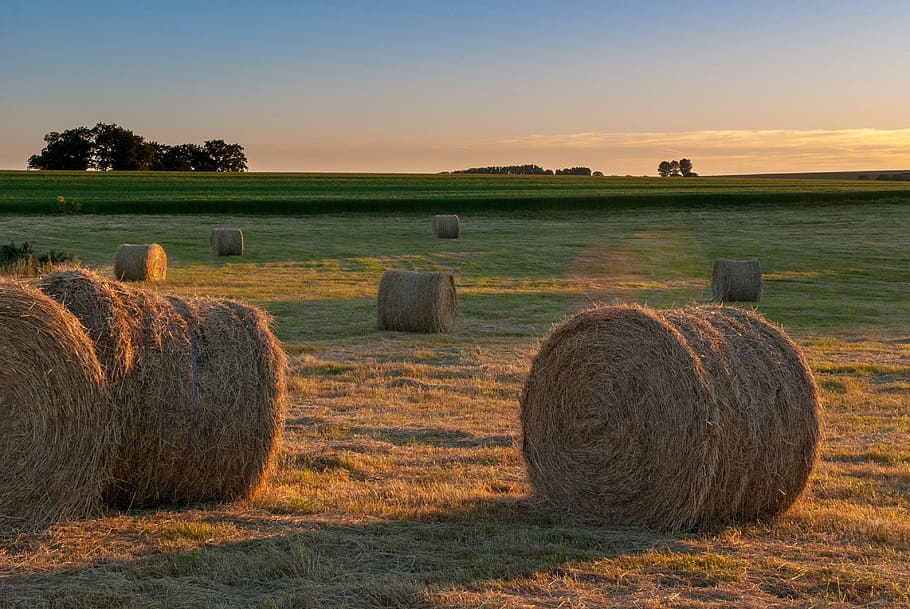 Latest Hay Report Shows Hay is getting Tighter Across the State
