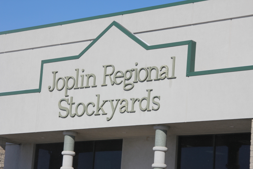 Feeder Steers Lower, Feeder heifers Steady to Lower at Joplin Regional Stockyards on Monday