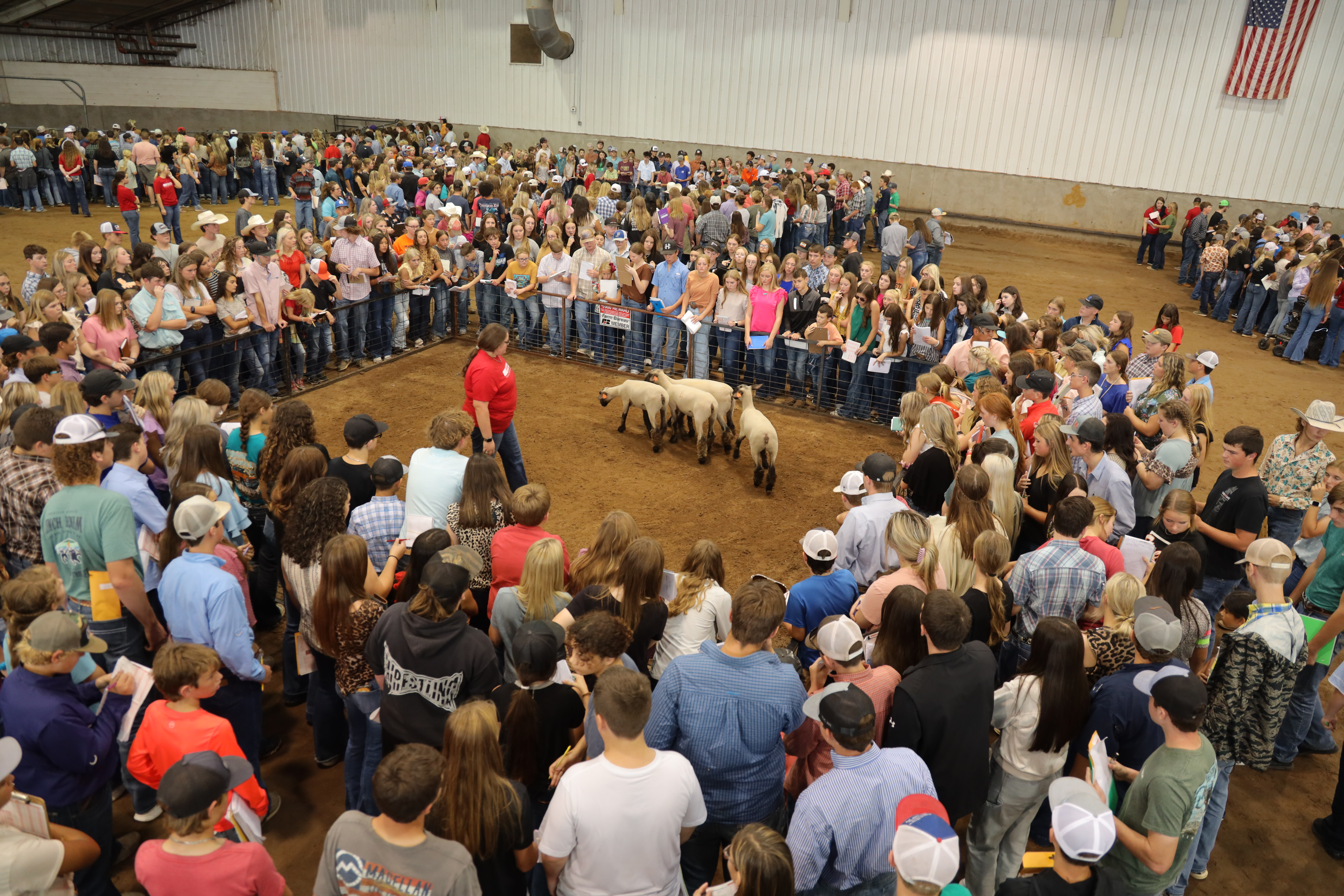 OKFB YF&R Hosts Record-Breaking State Fair Livestock Judging Contest 
