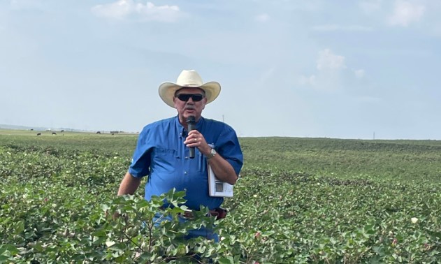 Ken Lege talks PhytoGen Cotton Varieties at Schantz Farms Field Day