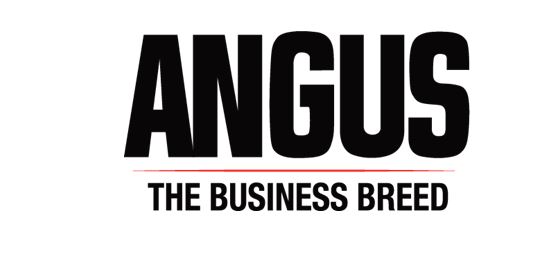 Angus Foundation Launches Sale Lot Donation Program