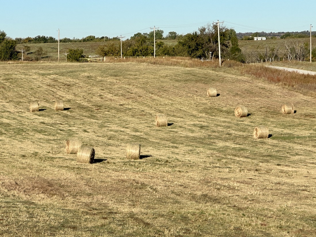Final 2022 Pasture and Range Ratings Show Recent Rains Offered Little Improvement
