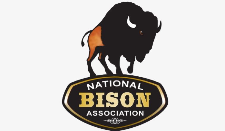 National Bison Day Saturday November 5