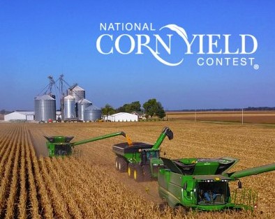 Ready to Roll for Harvest? NCYC Yield Results Open for Submission