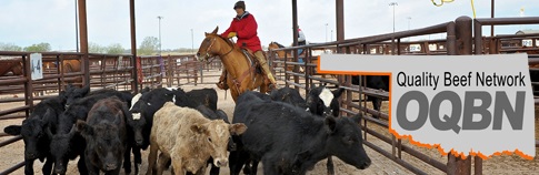 Increasing the Value of Calves Through Oklahoma Quality Beef Network