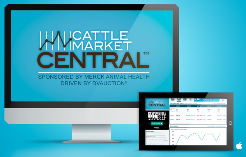 Merck Animal Health and DVAuction Introduce Cattle Market Central